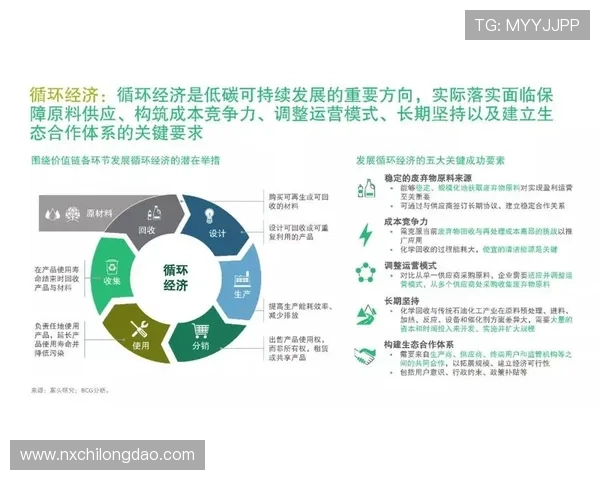 南京足球队转型之路的挑战与机遇全景解析 南京足球队转型之路的挑战与机遇全景解析