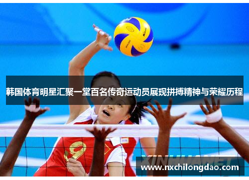 韩国体育明星汇聚一堂百名传奇运动员展现拼搏精神与荣耀历程